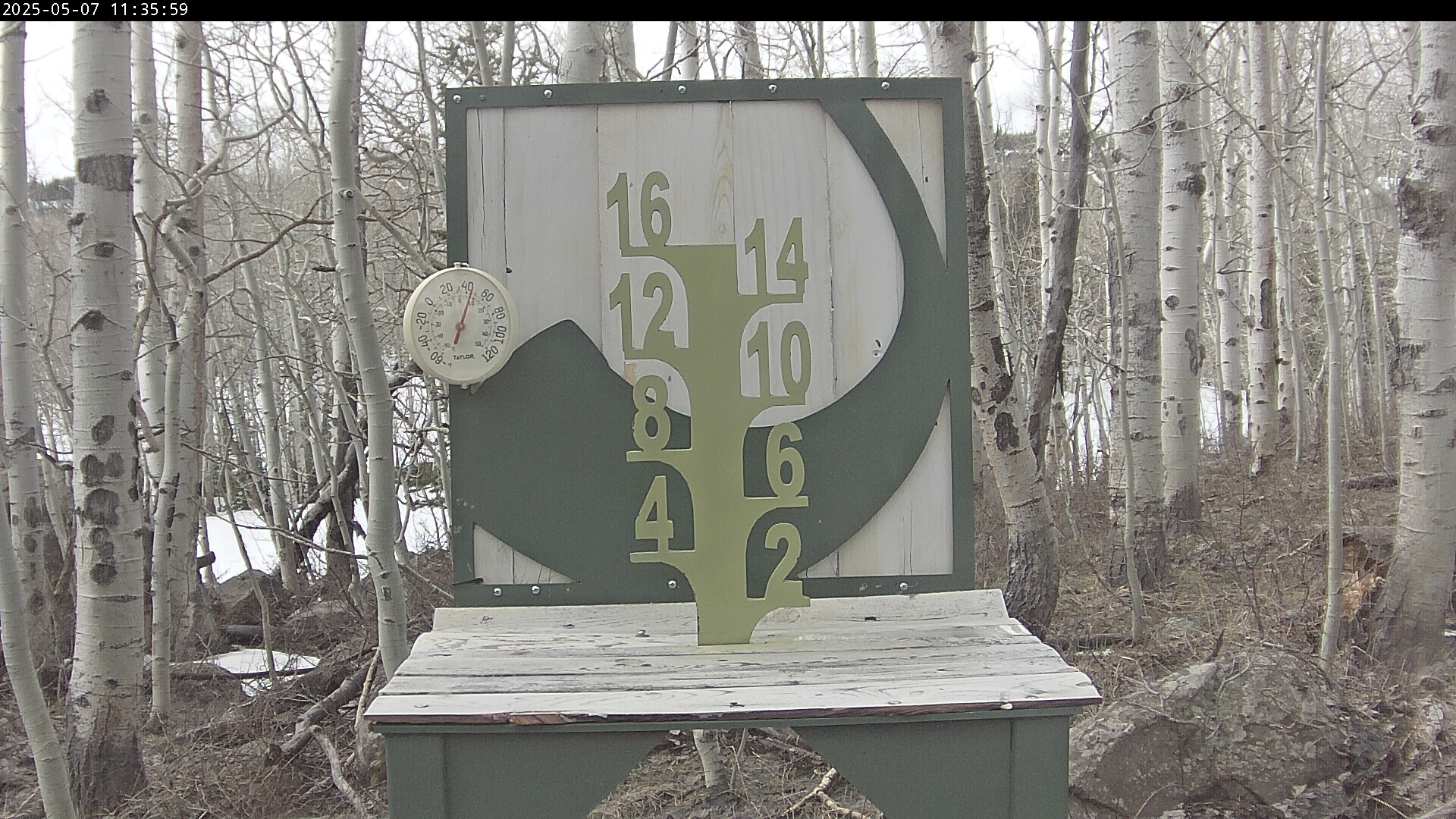 Powderhorn Snow Stake