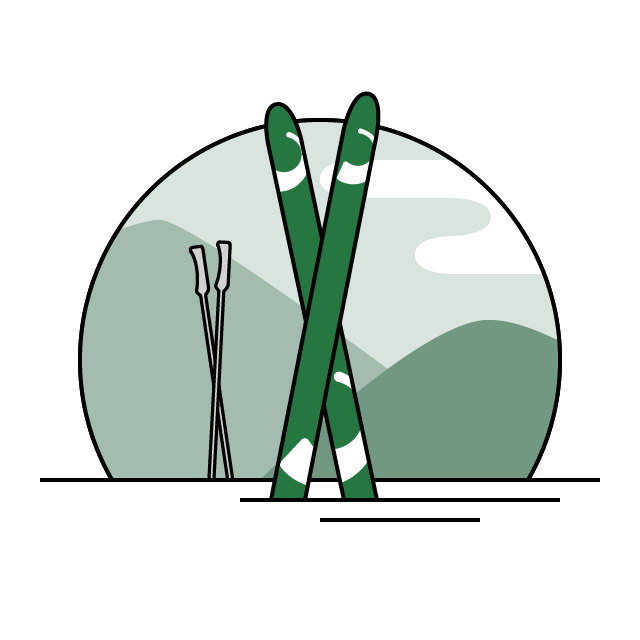 decorative skis icon