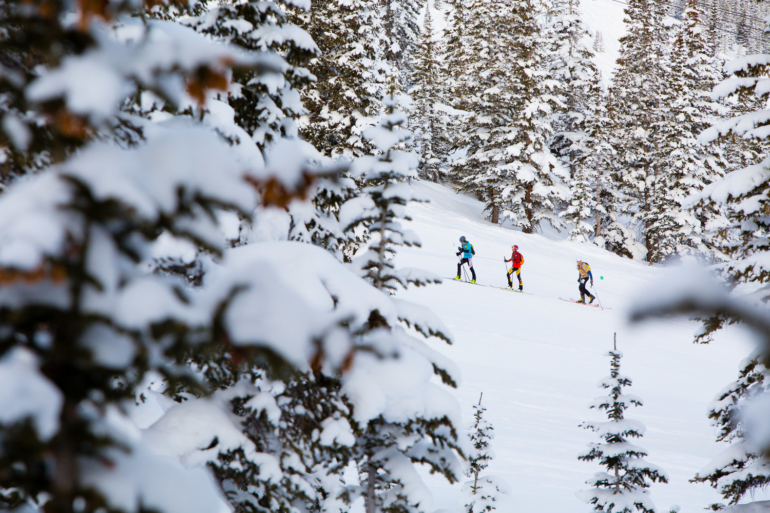 Uphill Skiing Open Access